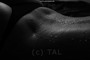 akt1