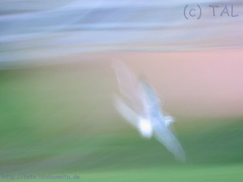 art19