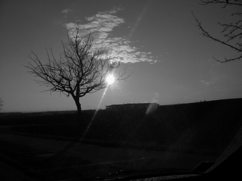 scape22